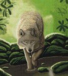 (image for) River Wolf